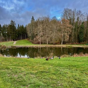 golf du champ de bataille normandie tee5 les forieres
